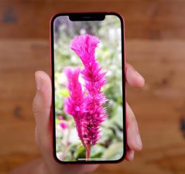 Thay màn hình iPhone 12 tại Sửa chữa Vĩnh Thịnh